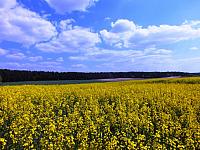 początki fuji 035