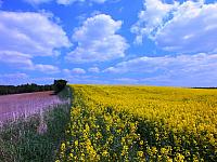 początki fuji 049