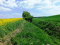 początki fuji 068