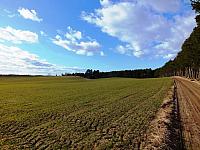 początki fuji 659