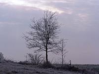 11.12 2010 067
