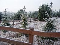 11.12 2010 082