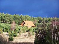 kraniec