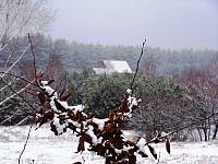 11.12 2010 156