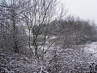 11.12 2010 151