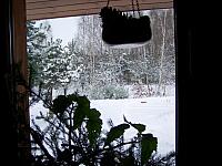 11.12 2010 261