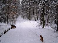 11.12 2010 378
