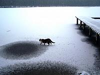 11.12 2010 394