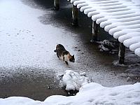 11.12 2010 398