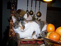11.12 2010 067
