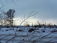 11.12 2010 001
