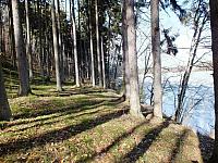 początki fuji 595