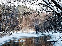 początki fuji 267