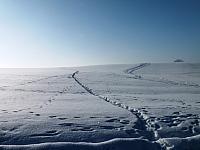 początki fuji 315