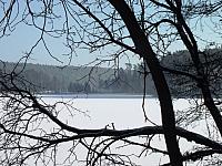 początki fuji 353