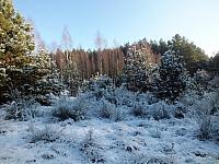 początki fuji 010