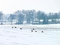 początki fuji 520