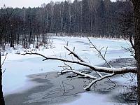 początki fuji 156