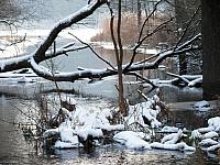początki fuji 213