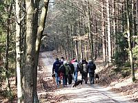 początki fuji 016