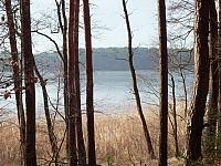 początki fuji 033