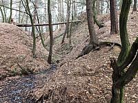 początki fuji 068