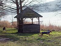 początki fuji