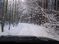11.12 2010 281