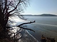 początki fuji 012