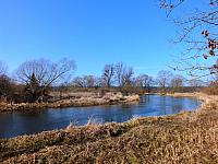 bagiennaDrweca