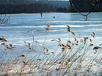 początki fuji 055