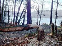 początki fuji 025