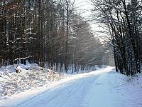 początki fuji 261