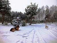 początki fuji 083
