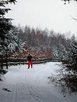 początki fuji 153