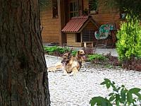 jamnik
