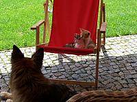 lato 2010 280